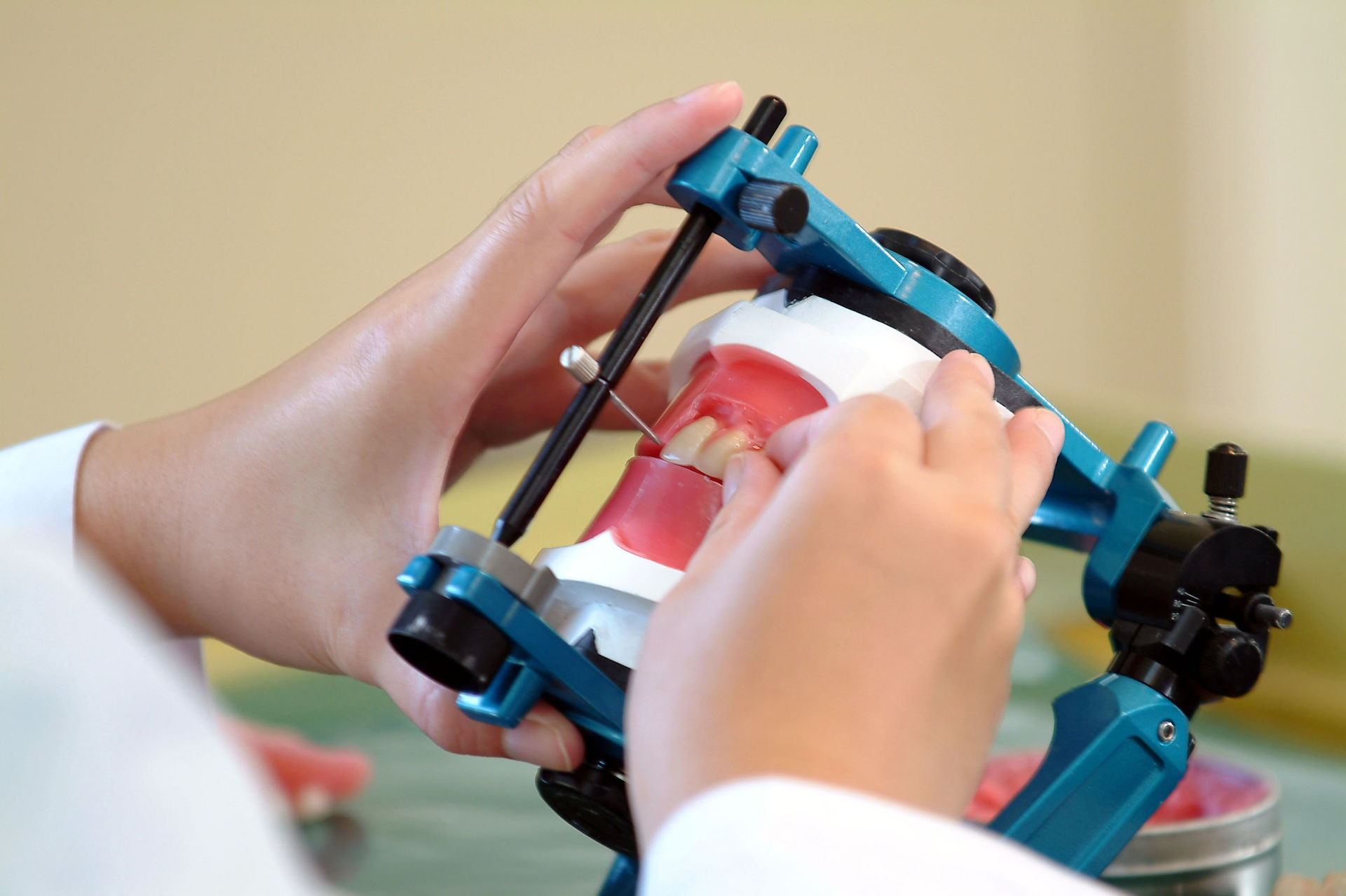 東京の株式会社中央歯科補綴は多数の実績があります